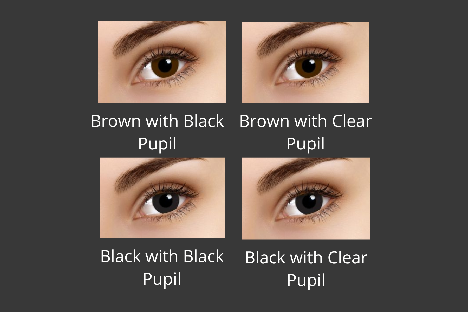 PROSTHETIC CONTACTS - Monthly ColourVue PROSTHETIC CONTACTs