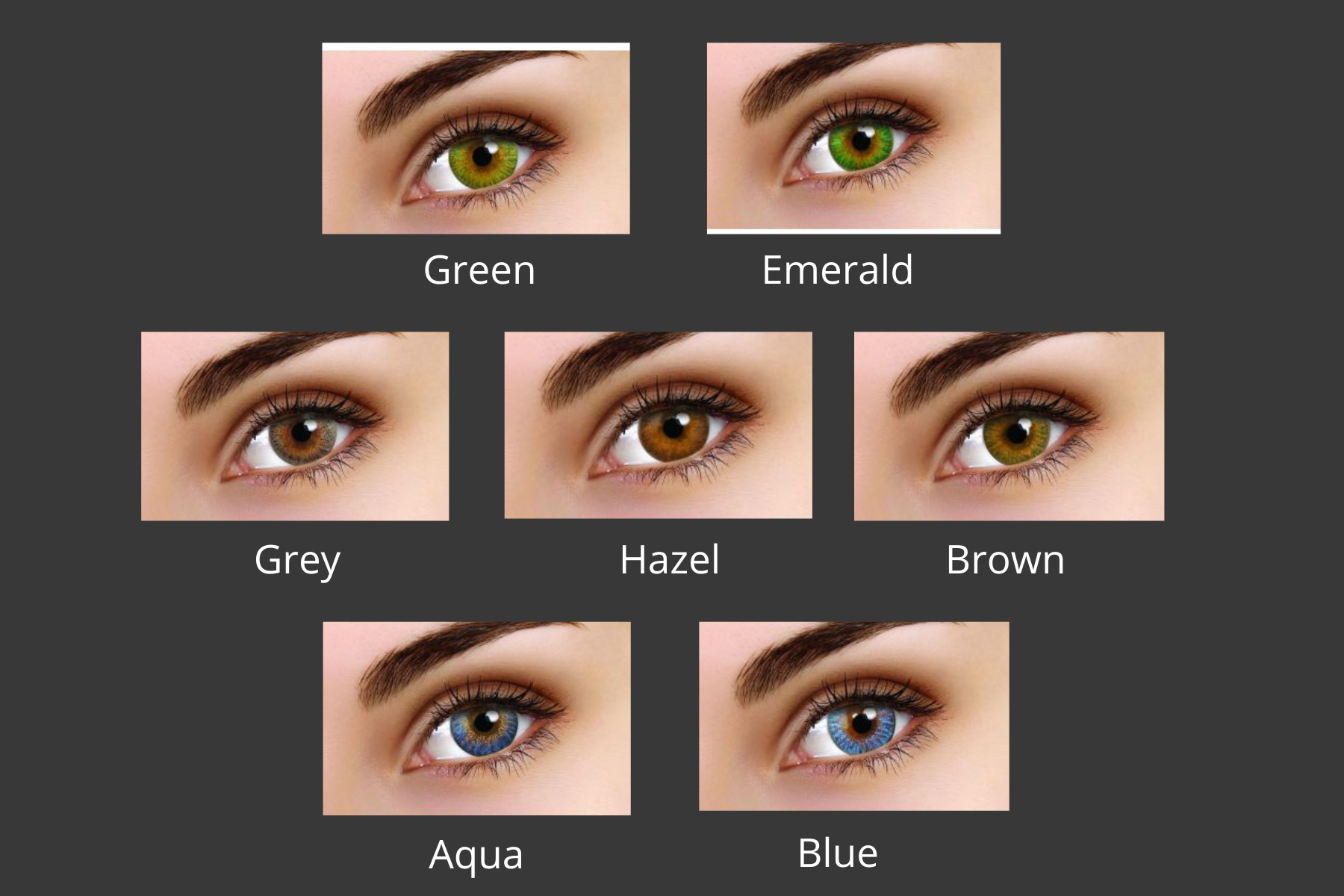 TruBlends - Monthly TruBlends - Monthly